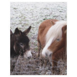 Frosty Friends flyers