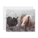 Frosty Friends Invitation