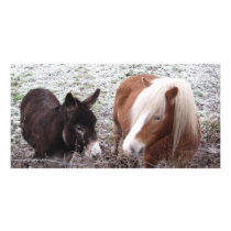 Frosty Friends Photo Card Template