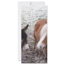 Frosty Friends Rack Card Template