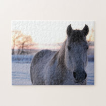 Frosty Horse Puzzle puzzles