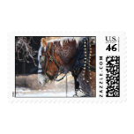 Frosty Horse Stamp