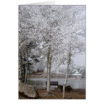 Frosty morning at the pond cards