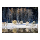 Frosty morning cards