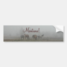 Frosty Morning Fog bumper sticker