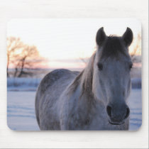 Frosty Morning Horse mousepads