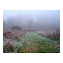 Frosty morning post cards