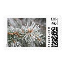 Frosty Pines postage by Typingfool Frosty Pines postage
