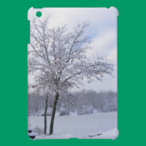 Frosty Pond ~ iPad Mini case ipad mini cases