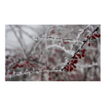 Frosty ! poster posters