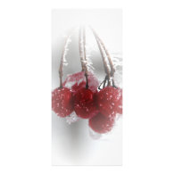 Frosty Red Berries Winter Wedding Program Custom Rack Card