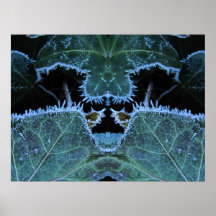 Frosty Reflection ~ print