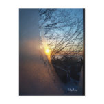 Frosty Sunrise postcards