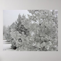 Frosty Trees Print