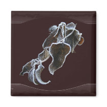 Frosty Vine ~ magnet by Andy2302 Frosty Vine ~ magnet
