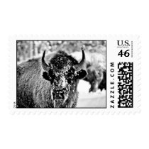 Frosty Yellowstone Bison Stamp