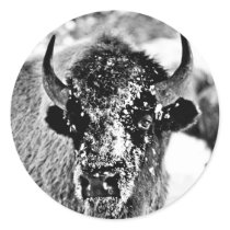 Frosty Yellowstone Bison Sticker