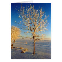 FrostyTree1 Greeting Card