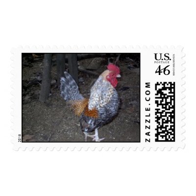 Froze the Barred Old English Bantam Rooster Postage by pidgiefund