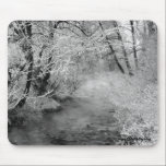 Frozen Bare Branches Mouse Pad