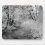 Frozen Bare Branches Mouse Pad