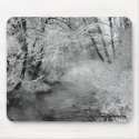 Frozen Bare Branches mousepads