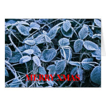 Frozen Brambles Merry Christmas Card