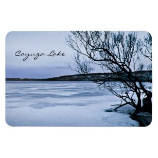 Frozen Cayuga Lake