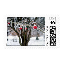 Frozen cherries postage