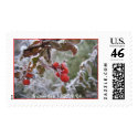 frozen fire | 12/19/04 postage