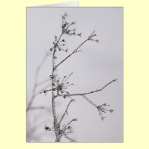 Frozen flowers cards