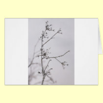 Frozen flowers cards