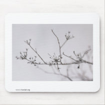 Frozen flowers mousepads