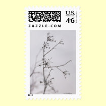 Frozen flowers postage