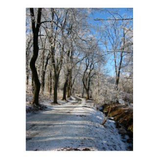 frozen forest trail print