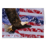 frozen glory, patriotic, america, american,