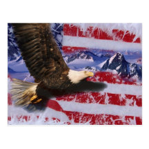 Frozen Glory Post Card
