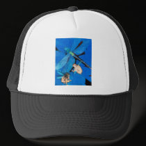 Frozen In Flight: www.AriesArtist.com hats