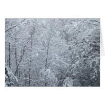 Frozen in Time Trees-Blank Card