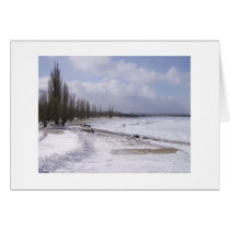 Frozen Lake cards
