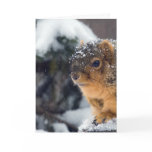 Frozen Nuts Get Well Soon Card
