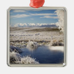 Frozen Pond and Hoar Frost on Willow Tree, near Christmas Ornament