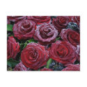 frozen roses postcards