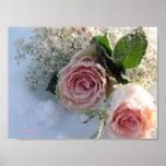 Frozen roses poster