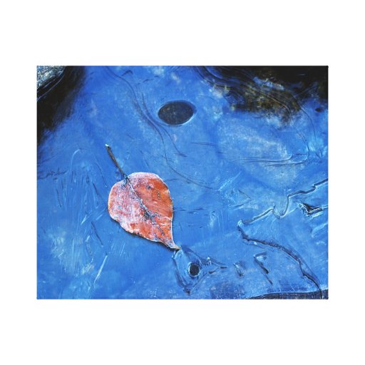 Frozen Stretched Canvas Prints