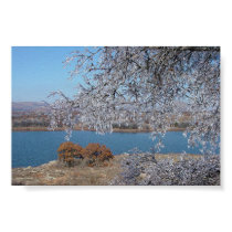Frozen Tree posters