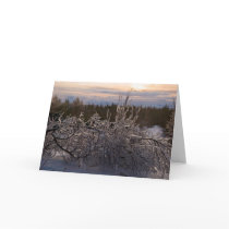 Frozen tree sculpture cards