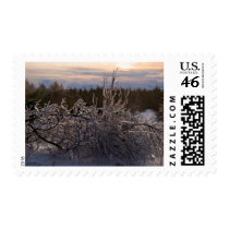 Frozen tree sculpture postage