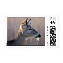 Frozen Whiskers Stamp