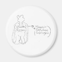 Fructose Fridge Magnet